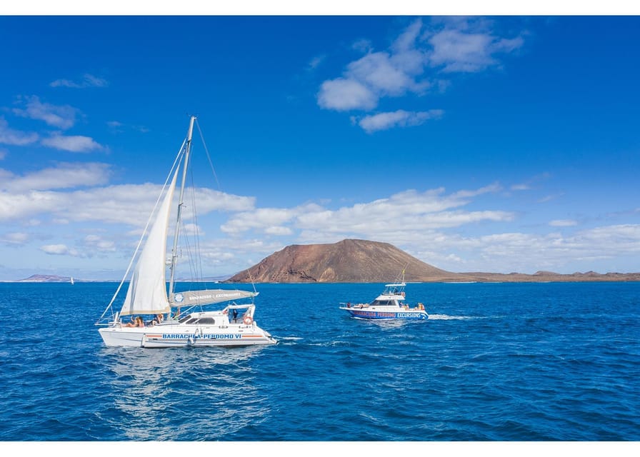Fuerteventura: Whale & Dolphin Watching Boat Tour with Guide - The Guides Make the Difference