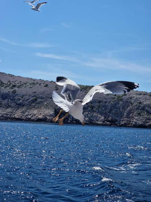 Full day boat-trip Medulin, blue Cave, Cres + dolphin search - A full day that earns its nine hours