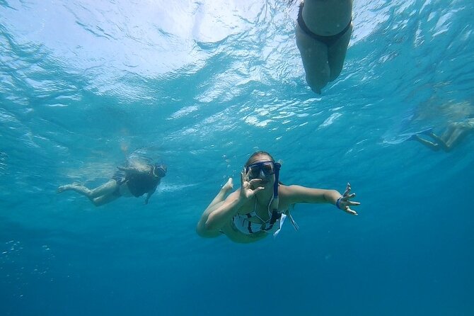 Full-day Dolphin House And Swim With Dolphin - Pickup, marina arrangements, and timing