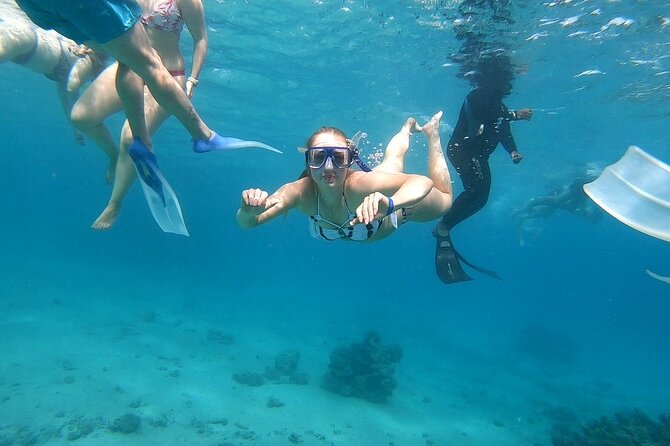 Full-day Dolphin House And Swim With Dolphin - Lunch, drinks, and the value of staying onboard