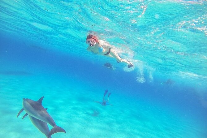 Full-Day Dolphin House from Hurghada - Snorkeling at two or three reef stops