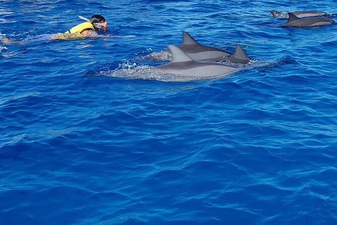 Full-Day Dolphin Watching Cruise in Mauritius - The boat ride from Black River to Tamarin Bay