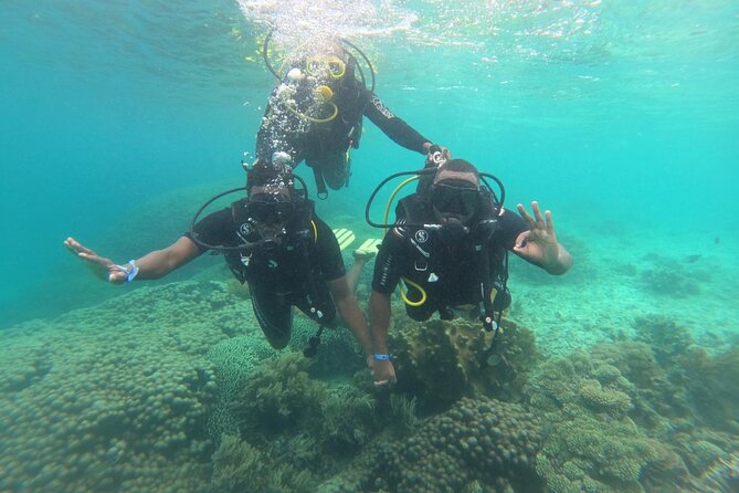 Full Day Dolphin Watching with Snorkeling in Wasini - A full south-coast day, from hotel pickup to island life