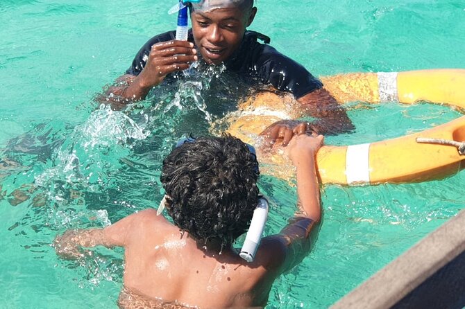 Full Day Dolphin Watching with Snorkeling in Wasini - What the $113 price really covers