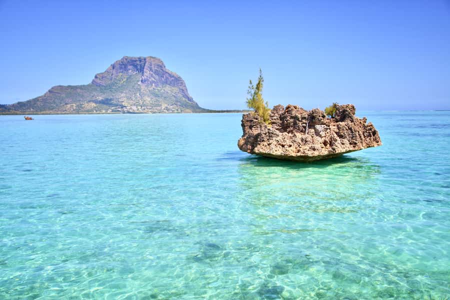 Full Day Dolphins Watching Ile aux Benitiers & Crystal Rock - Tamarin Bay and the dolphin encounter