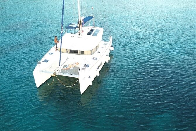 Full day EN Catamaran Martinique Dolphins and Turtles - A full day on Martinique’s water