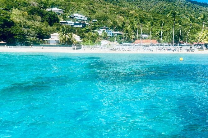 Full day EN Catamaran Martinique Dolphins and Turtles - The bat cave and the final return