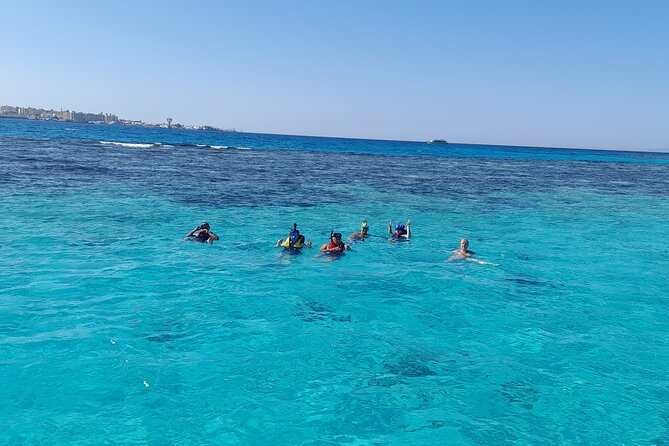 Full-Day Experience with Dolphins and Snorkeling in Red Sea - Is the boat standard right for you?