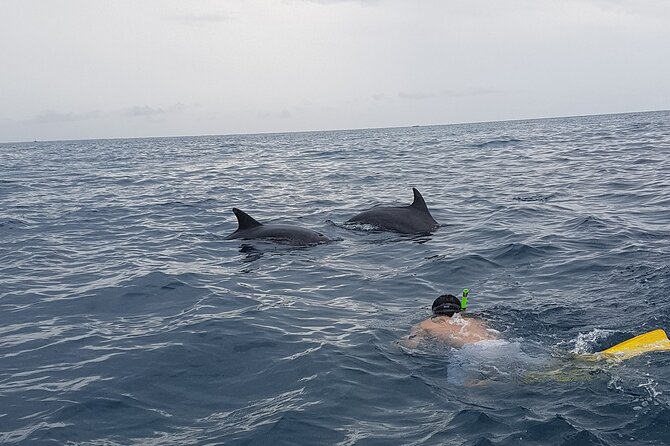 Full - Day Private Zanzibar Tour with dolphins & Sunset Beach - Kendwa Beach and the sunset question