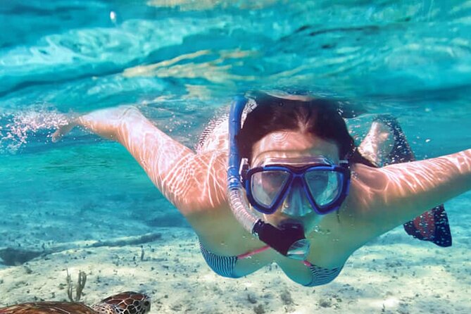 Full - Day Private Zanzibar Tour with dolphins & Sunset Beach - Practical planning for the $135 price