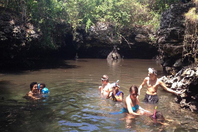 Full - Day Private Zanzibar Tour with dolphins & Sunset Beach - Sandbank time at low tide