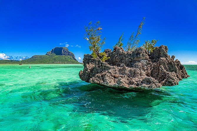 Full day Shared Speedboat Tour - South West Lagoon Dolphin Swim - Is the $106 price fair?