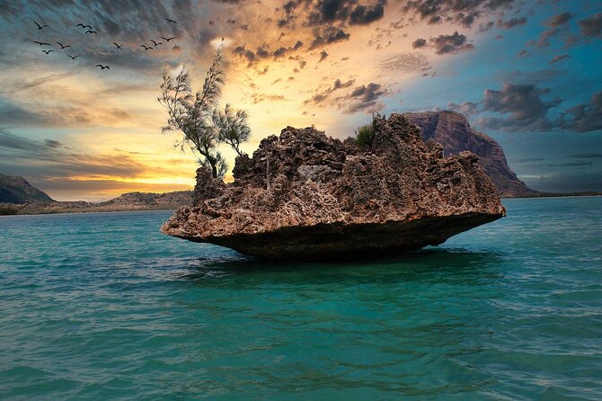 Full day Shared Speedboat Tour - South West Lagoon Dolphin Swim - Crystal Rock with Le Morne in view