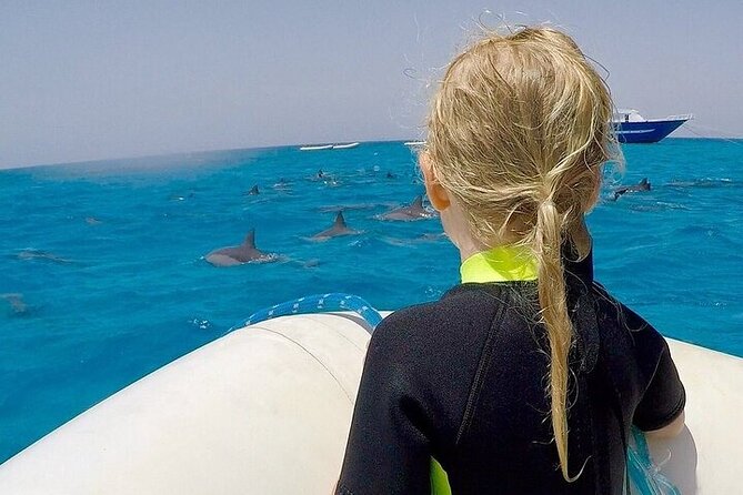 Full Day Snorkeling in Hurghada Dolphin House - Reaching Dolphin House by boat