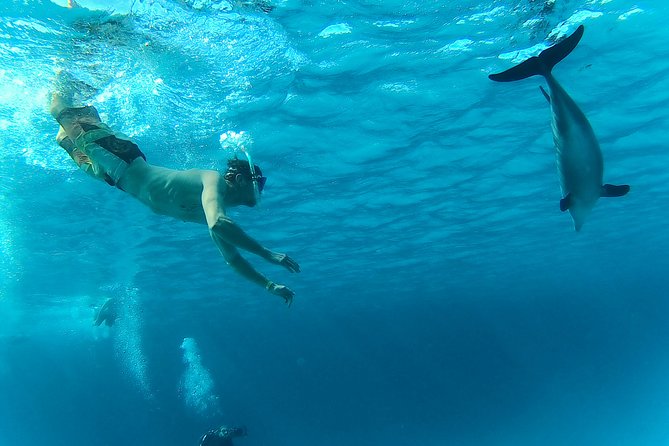Full-Day Snorkeling with Dolphins in Hurghada with Lunch - Water conditions, swimming ability, and safety