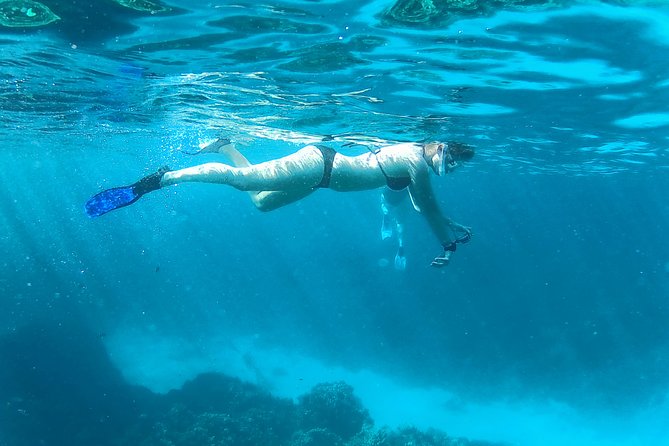 Full-Day Snorkeling with Dolphins in Hurghada with Lunch - Who gets the best value from the $15 price