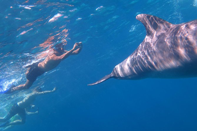 Full-Day Snorkeling with Dolphins in Hurghada with Lunch - Cancellation, pickup, and other practical details