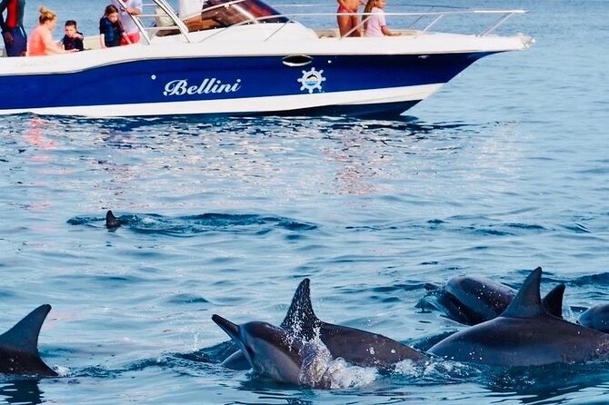 Fully Day Tour: Dolphin Encounters, Crystal Rock at Benitiers Island - Setting out from your hotel in Mauritius