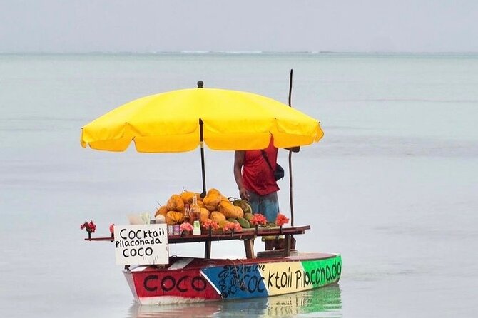 Fully Day Tour: Dolphin Encounters, Crystal Rock at Benitiers Island - BBQ lunch and beach time at Benitier Islet
