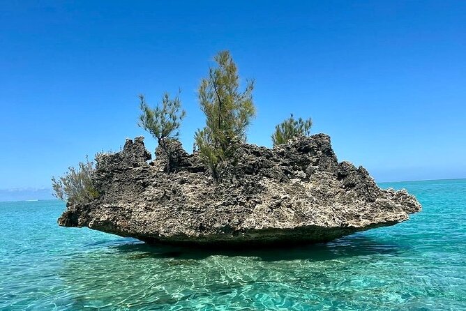 Fully Day Tour: Dolphin Encounters, Crystal Rock at Benitiers Island - What the mixed operation means for you
