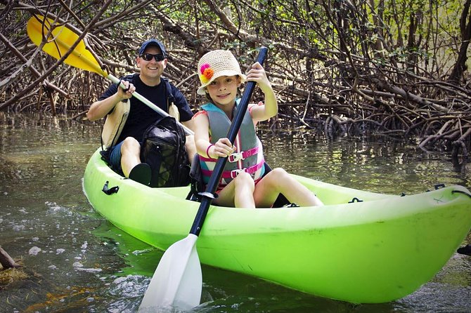 Fully Guided Kayaking Backwater Manatee and Dolphin Tour - What the $75 price buys you