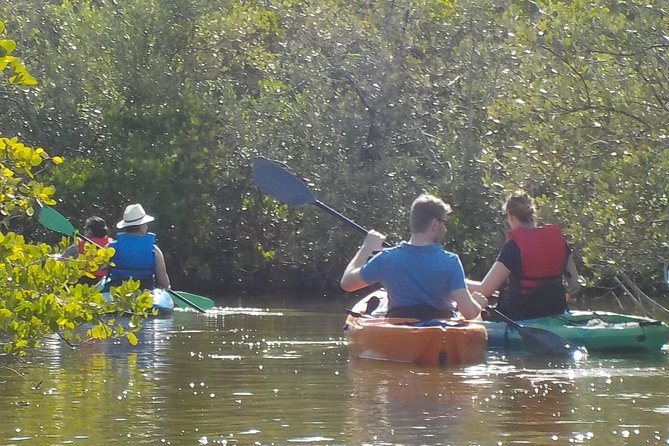 Fully Guided Kayaking Backwater Manatee and Dolphin Tour - Dolphins and manatees: keep expectations realistic