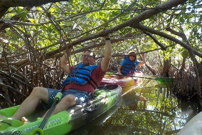 Fully Guided Kayaking Backwater Manatee and Dolphin Tour - Weather, clothing, and simple preparation
