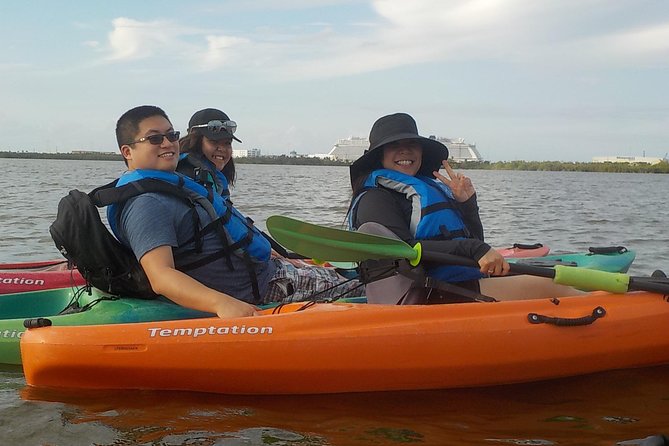 Fully Guided Kayaking Backwater Manatee and Dolphin Tour - Who will enjoy this kayak tour most