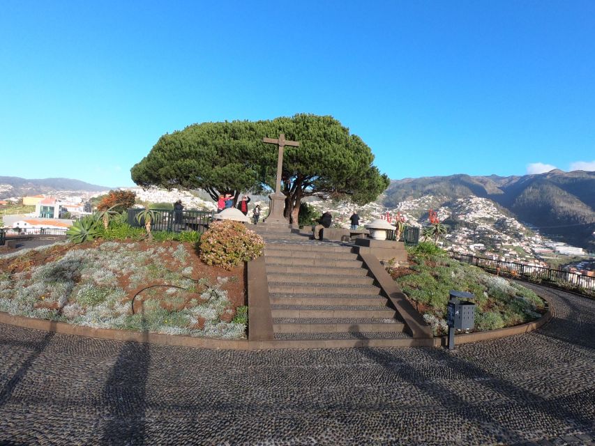 Funchal: Cabo Girão, Wines Tasting and Dolphins Watching - At a glance: what makes this day worthwhile