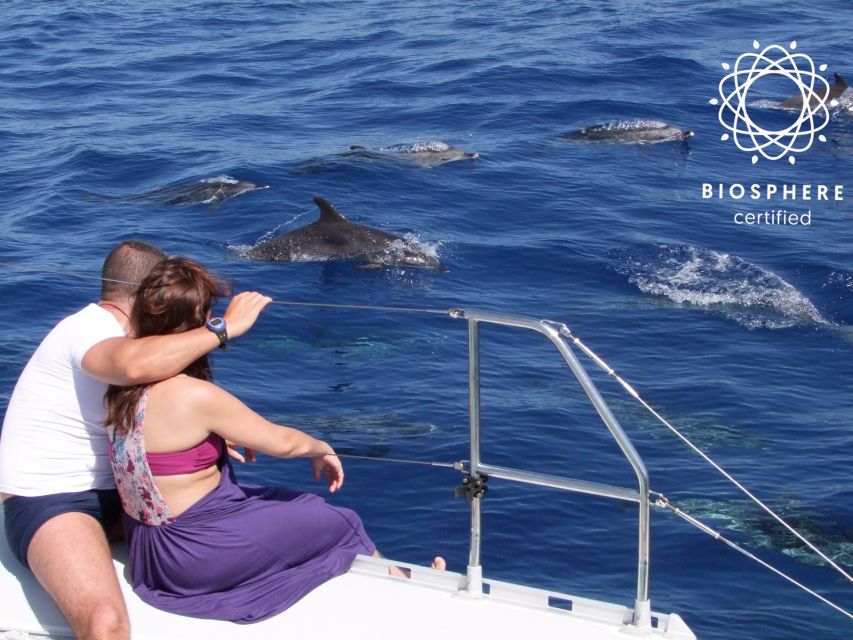 Funchal: Cabo Girão, Wines Tasting and Dolphins Watching - The open-roof 4x4 through Jardim da Serra