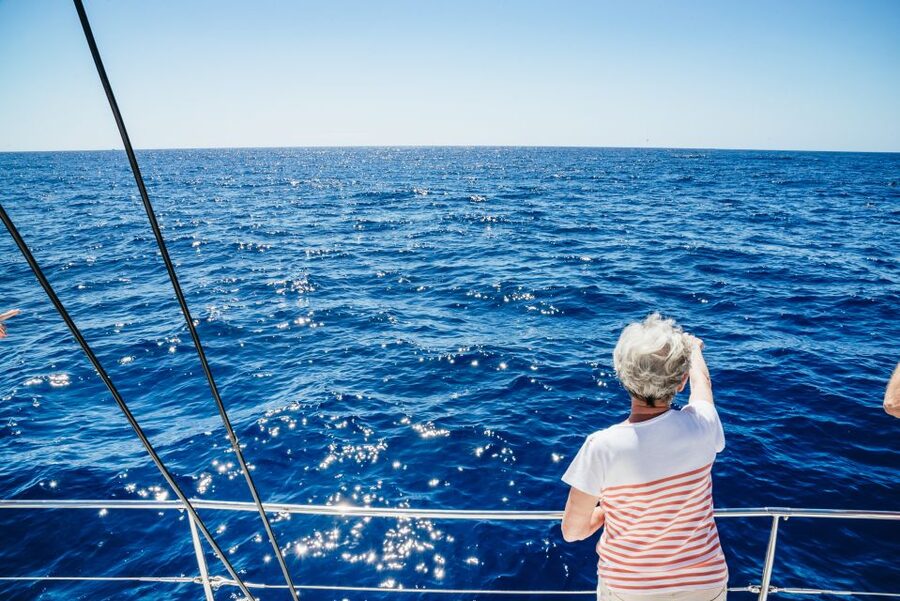 Funchal: Dolphin and Whale Watching by Luxury Catamaran - Key points to know before you sail