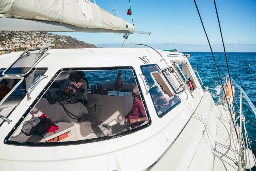 Funchal: Dolphin and Whale Watching by Luxury Catamaran - Watching for dolphins and whales