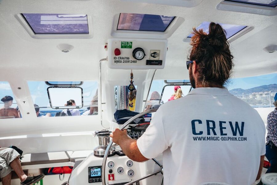 Funchal: Dolphin and Whale Watching by Luxury Catamaran - Is $47 a fair price?