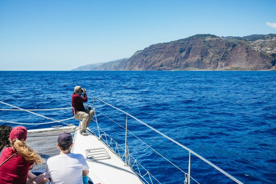 Funchal: Dolphin and Whale Watching by Luxury Catamaran - Who will enjoy this cruise most?