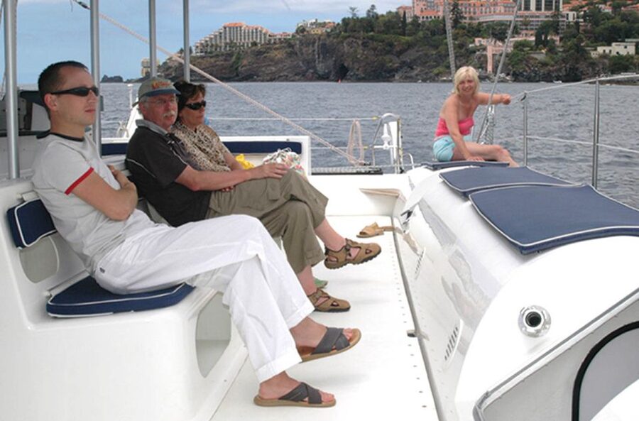 Funchal: Dolphin and Whale Watching Catamaran Cruise - Key points to know before booking