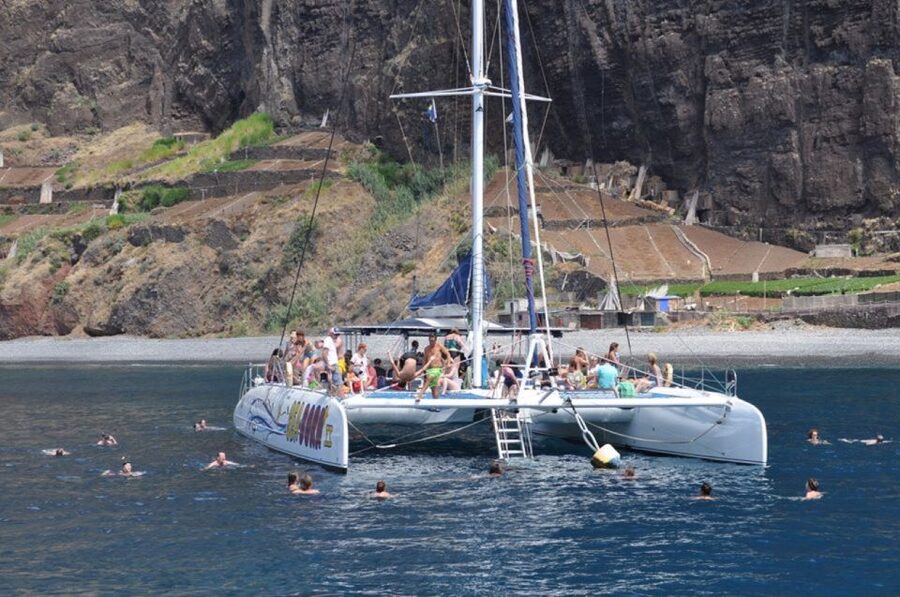 Funchal: Dolphin and Whale Watching Catamaran Cruise - Practical details that make the day easier