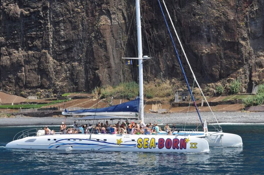 Funchal: Dolphin and Whale Watching Catamaran Cruise - Cabo Girão and the summer swim