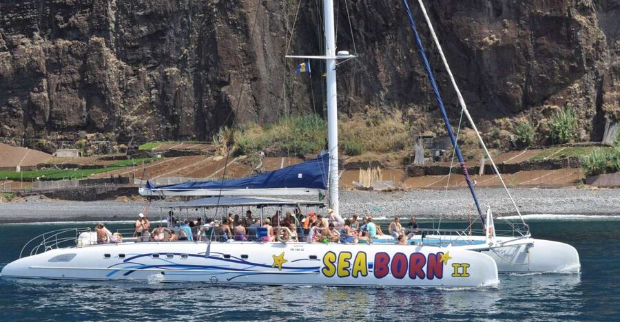 Funchal: Dolphin and Whale Watching Catamaran Cruise - Is $41 a fair price?