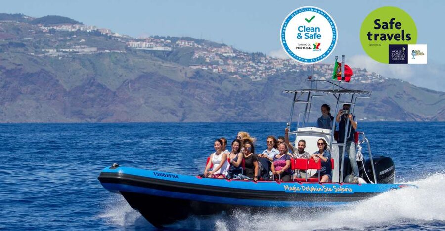 Funchal: Dolphin and Whale Watching Cruise - Why the 18-seat boat changes the experience