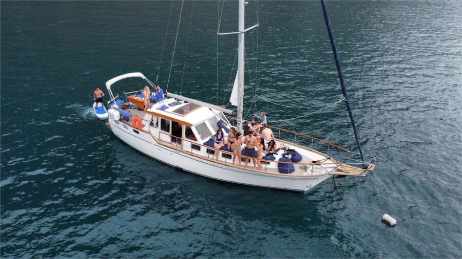 Funchal: Dolphin and Whale Watching Sailing Trip - Key points at a glance