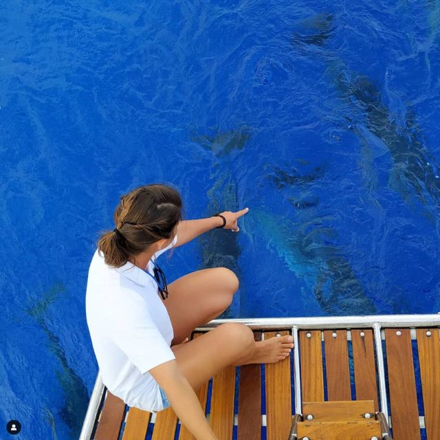 Funchal: Dolphin and Whale Watching Sailing Trip - Cabo Girão from below