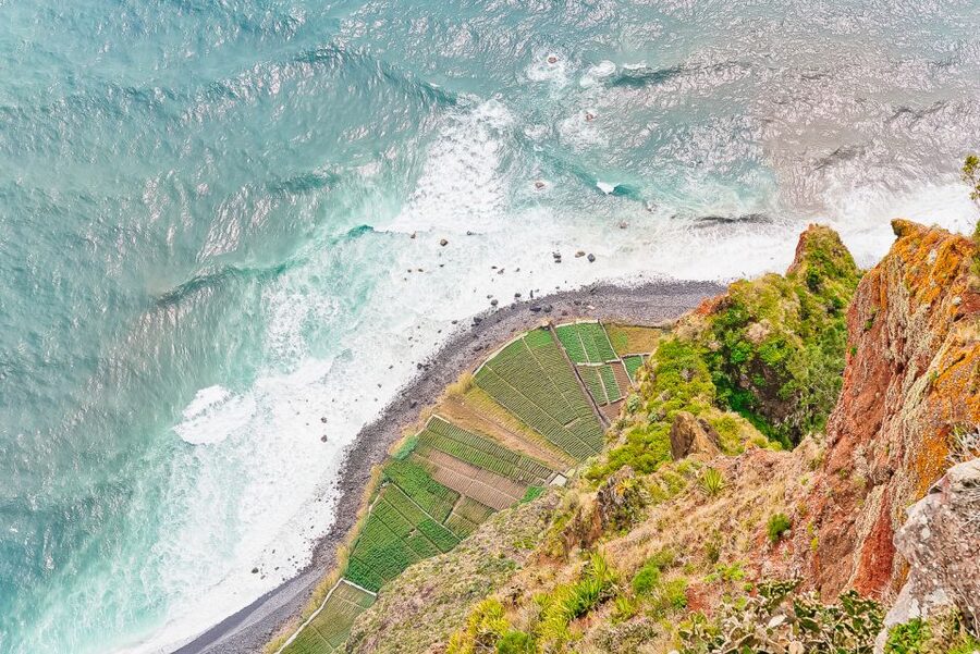 Funchal: Dolphin and Whale Watching Sailing Trip - Searching the sea for dolphins and whales