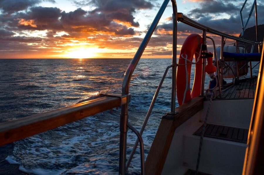 Funchal: Dolphin and Whale Watching Sunset Sailing Tour - Leaving Funchal marina for the open Atlantic