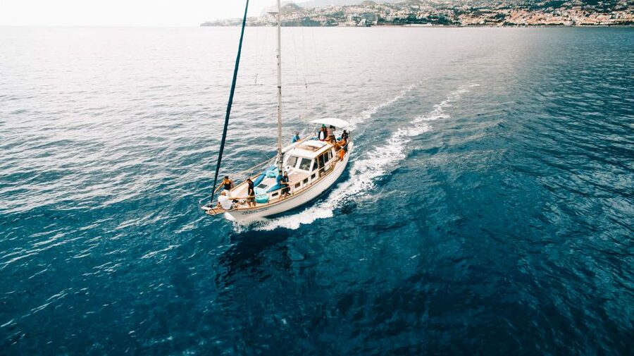 Funchal: Dolphin and Whale Watching Sunset Sailing Tour - What the three hours really offer