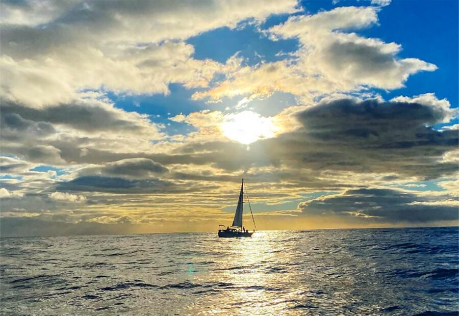 Funchal: Dolphin and Whale Watching Sunset Sailing Tour - Who will enjoy this sailing trip most