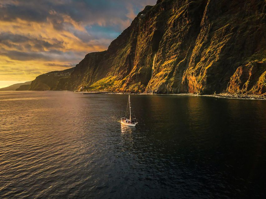 Funchal: Dolphin and Whale Watching Sunset Sailing Tour - Weather, cancellations, and practical flexibility