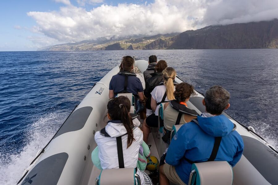 Funchal: Guarantee Wild Dolphin&Whale Watching by RIB - Booking, cancellation, and practical details