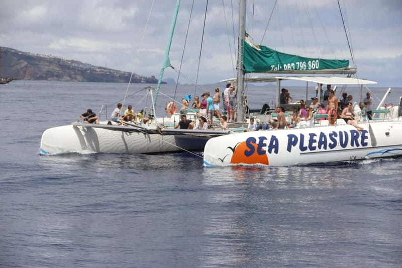 Funchal:Hop-on Hop-off Bus & Whale & Dolphin boat Excursion - From Funchal’s gardens to Câmara de Lobos