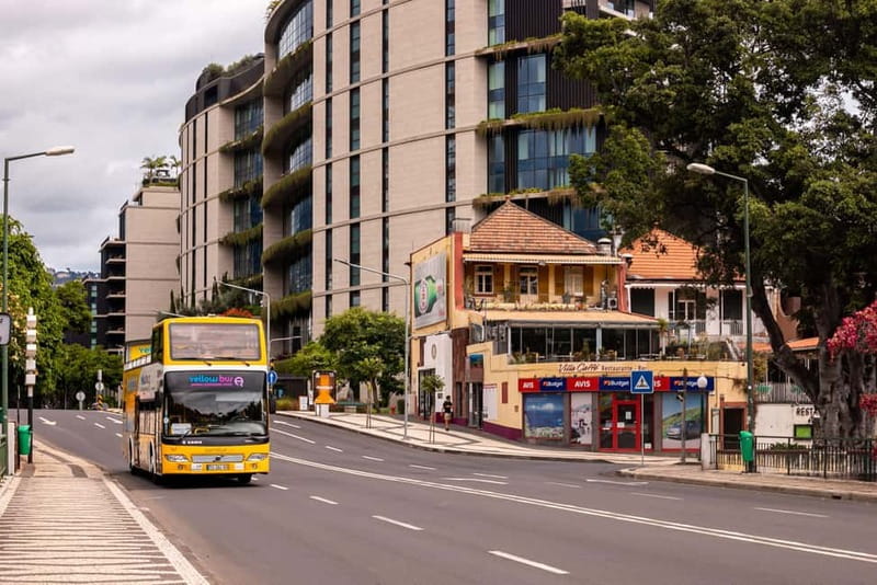 Funchal:Hop-on Hop-off Bus & Whale & Dolphin boat Excursion - Weather, wildlife, and the best way to plan your two days