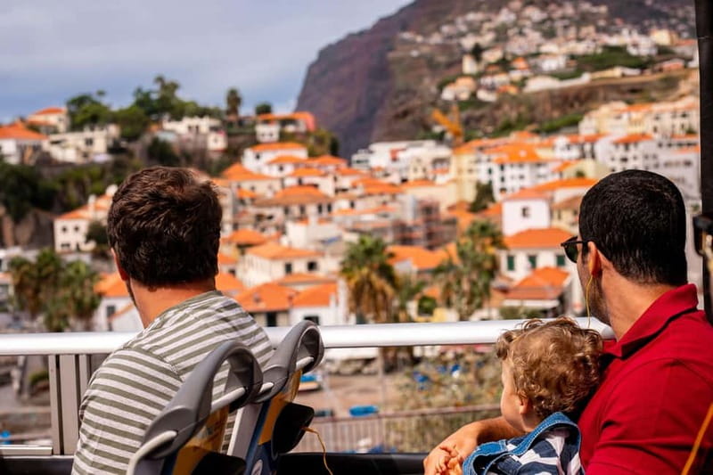 Funchal:Hop-on Hop-off Bus & Whale & Dolphin boat Excursion - A practical ride through Funchal’s main stops